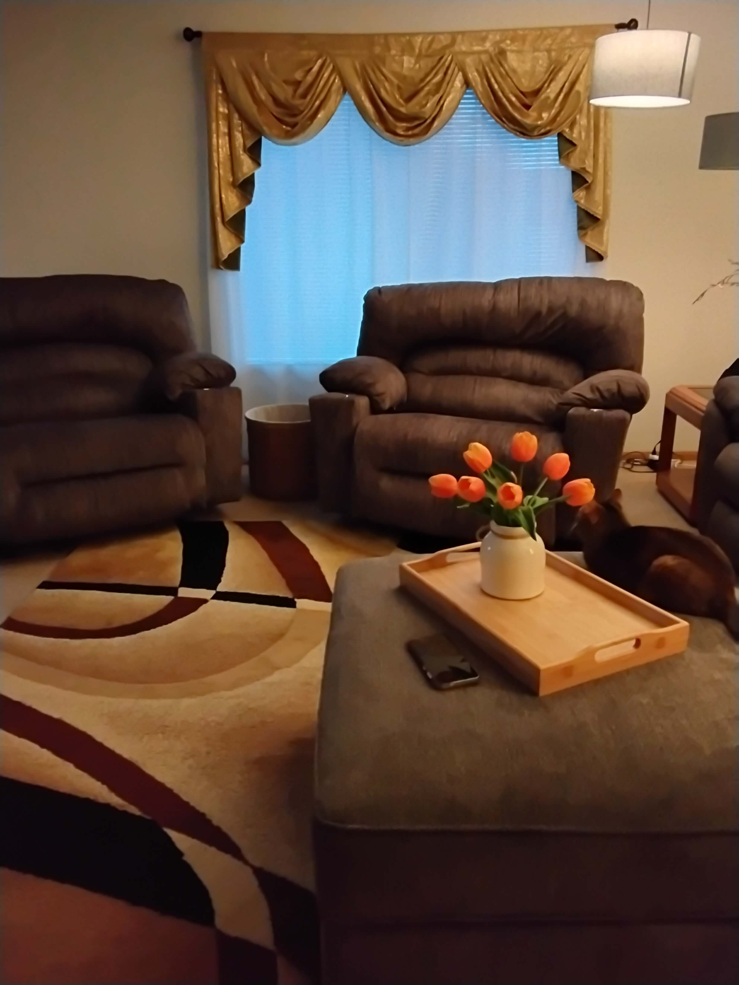 Cozy Living Room Transformation