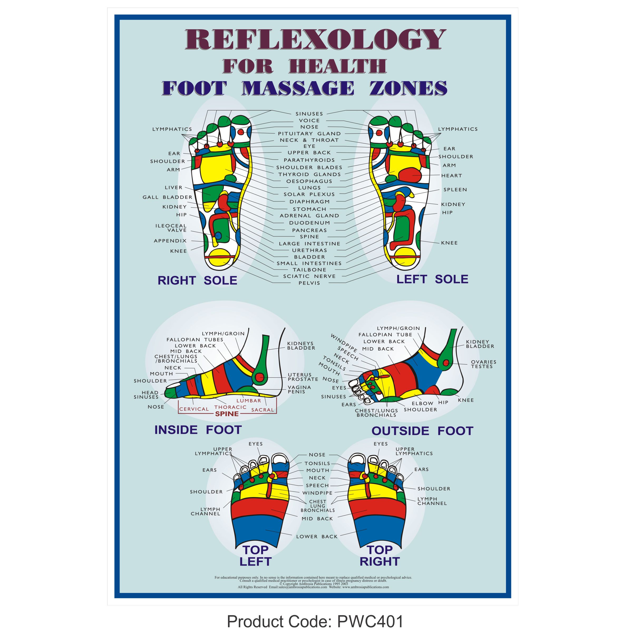 Reflexology foot chart with detailed body zone mapping and labels